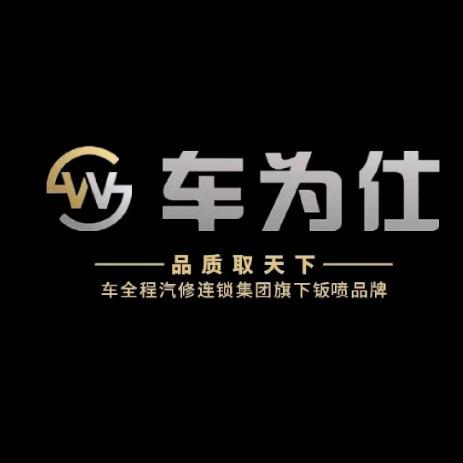 车为仕漆面无痕精修（车全程元谋店）