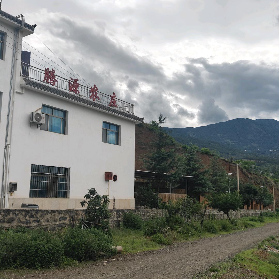 东川区乌龙镇腾源农庄 马丽