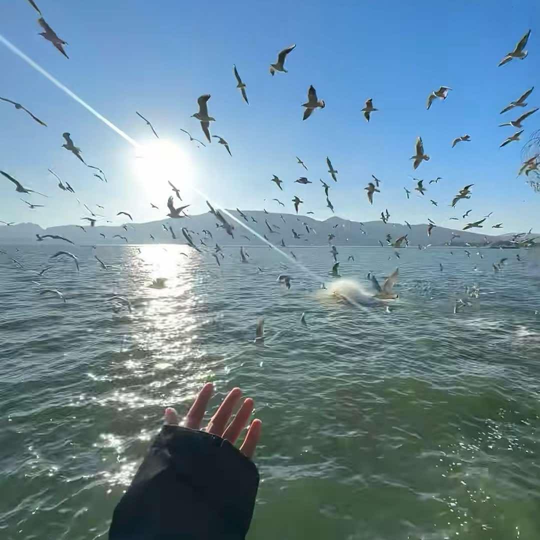 伊再美·纤美艺美容官方号