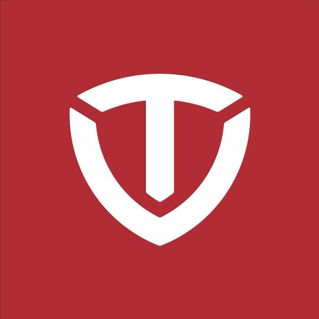 湖西台铃电动车（祺文车行）