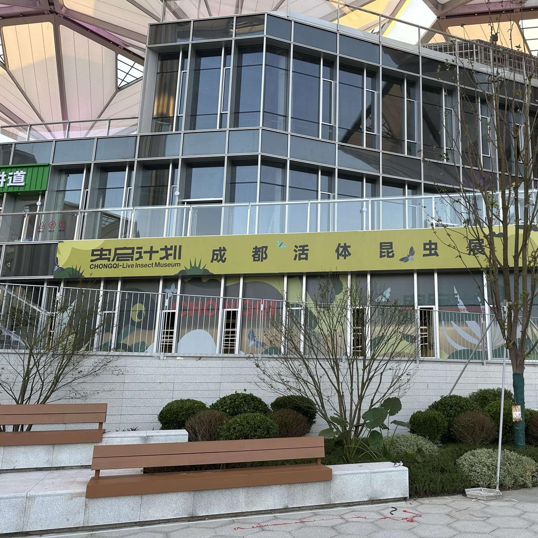虫启计划成都活体昆虫展官方号