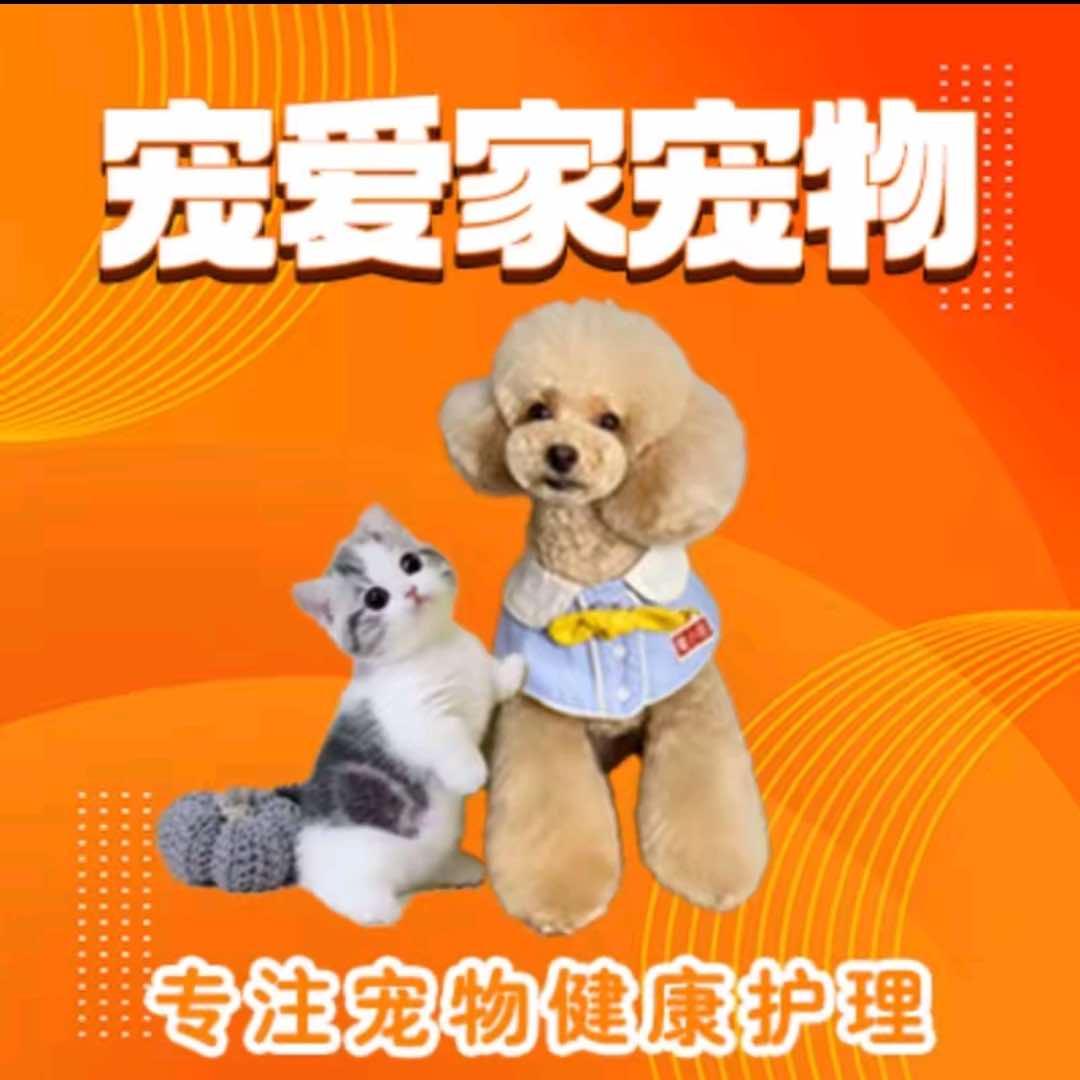 宠爱家(华侨城店)