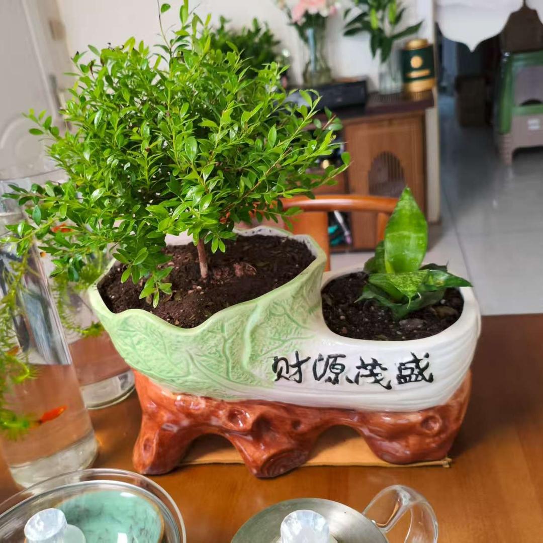 鑫想事成添禹简卡