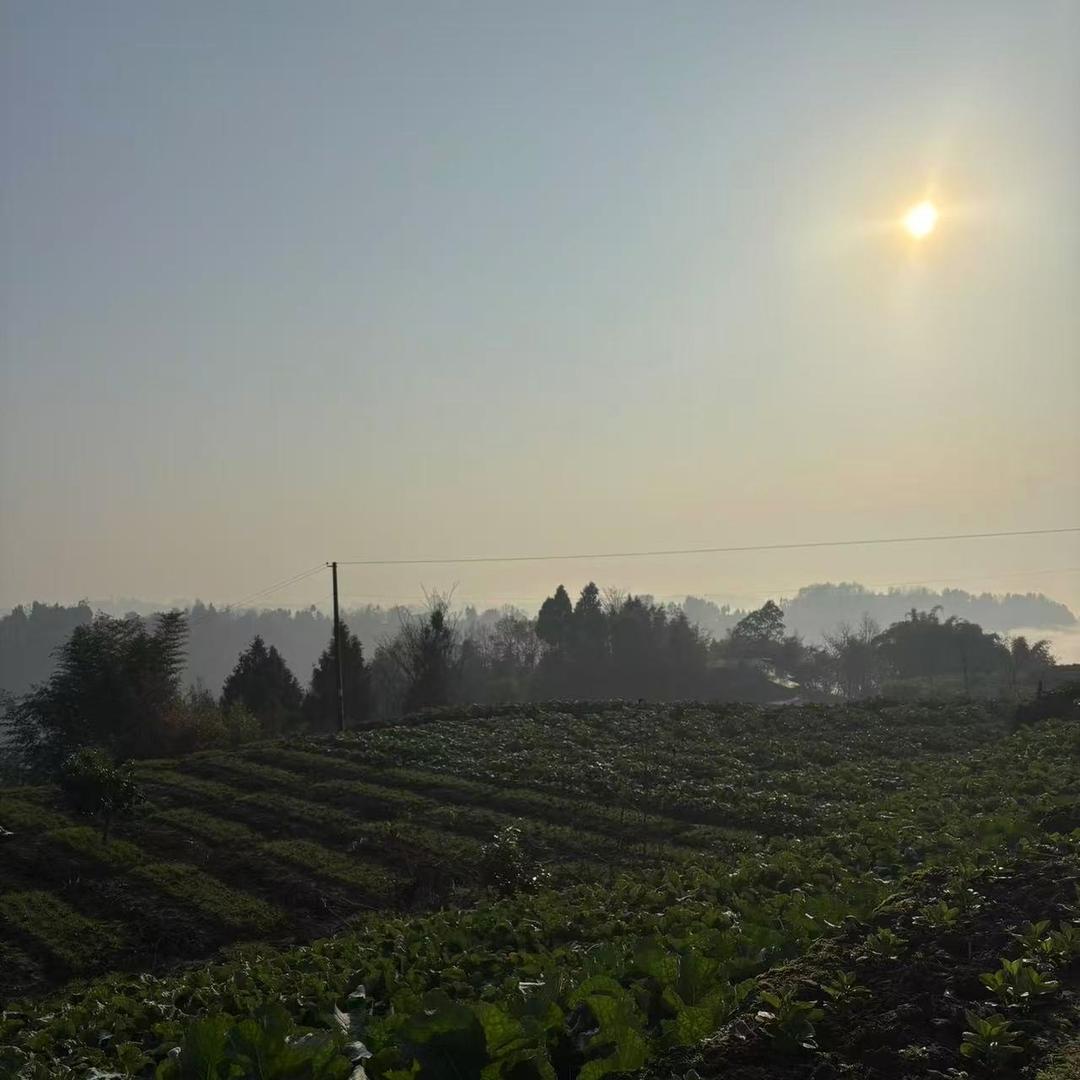 温岭欣难商贸1直播号