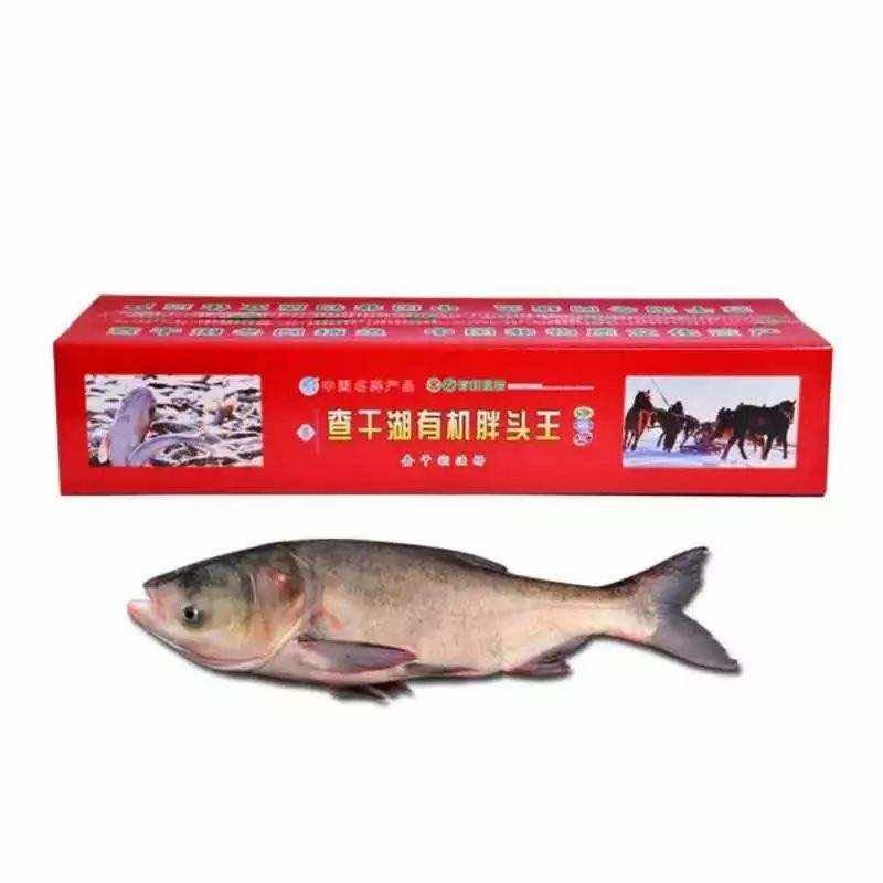查干龙悦胖头鱼礼品批发