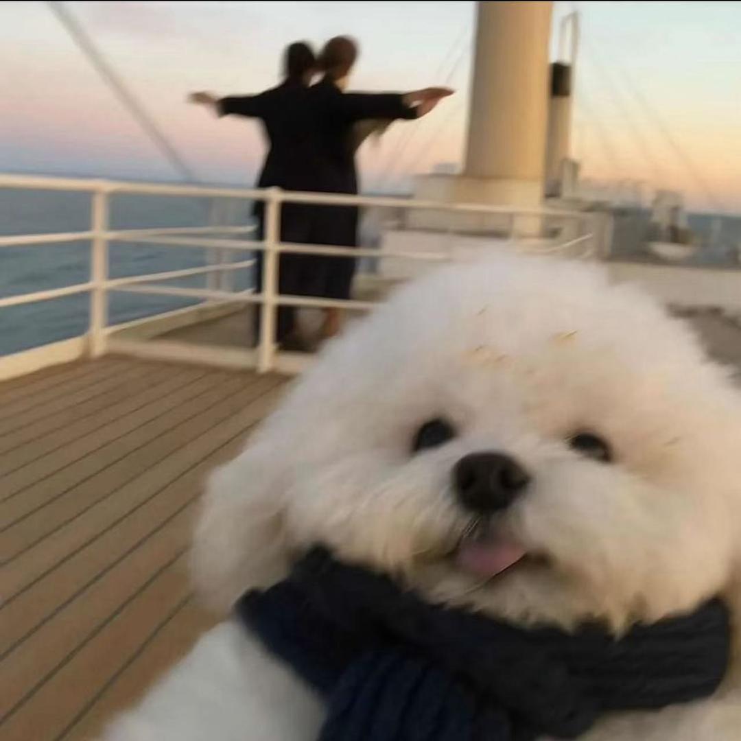 乐思运 昊昊-宠粉号