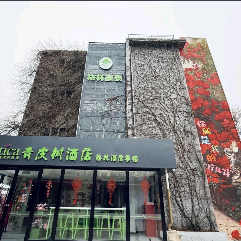 格林青皮树酒店（泰安红门岱庙店）