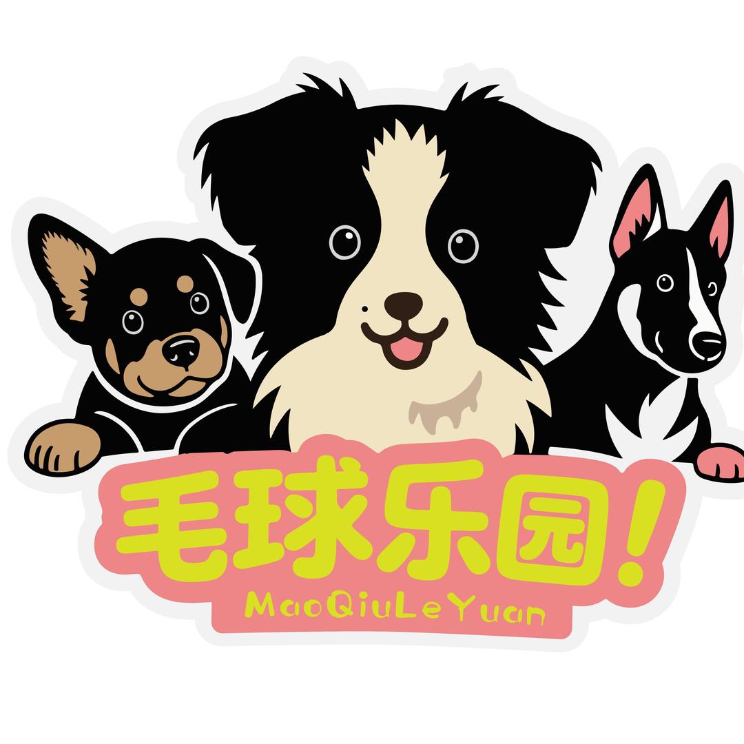 毛球乐园宠物服务