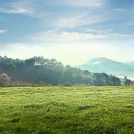 深圳路便利店泽钊营销号
