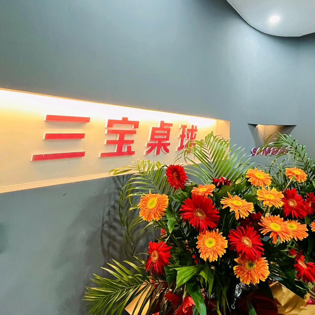 三宝桌球（私人订制）