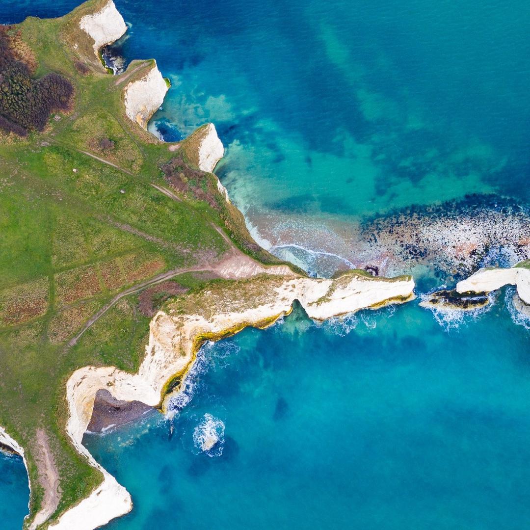 空港浓香园直播号