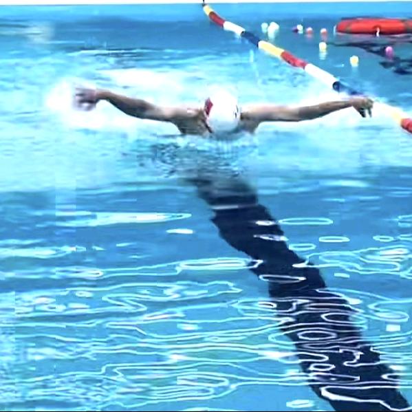 跃动精灵游泳馆宠粉号