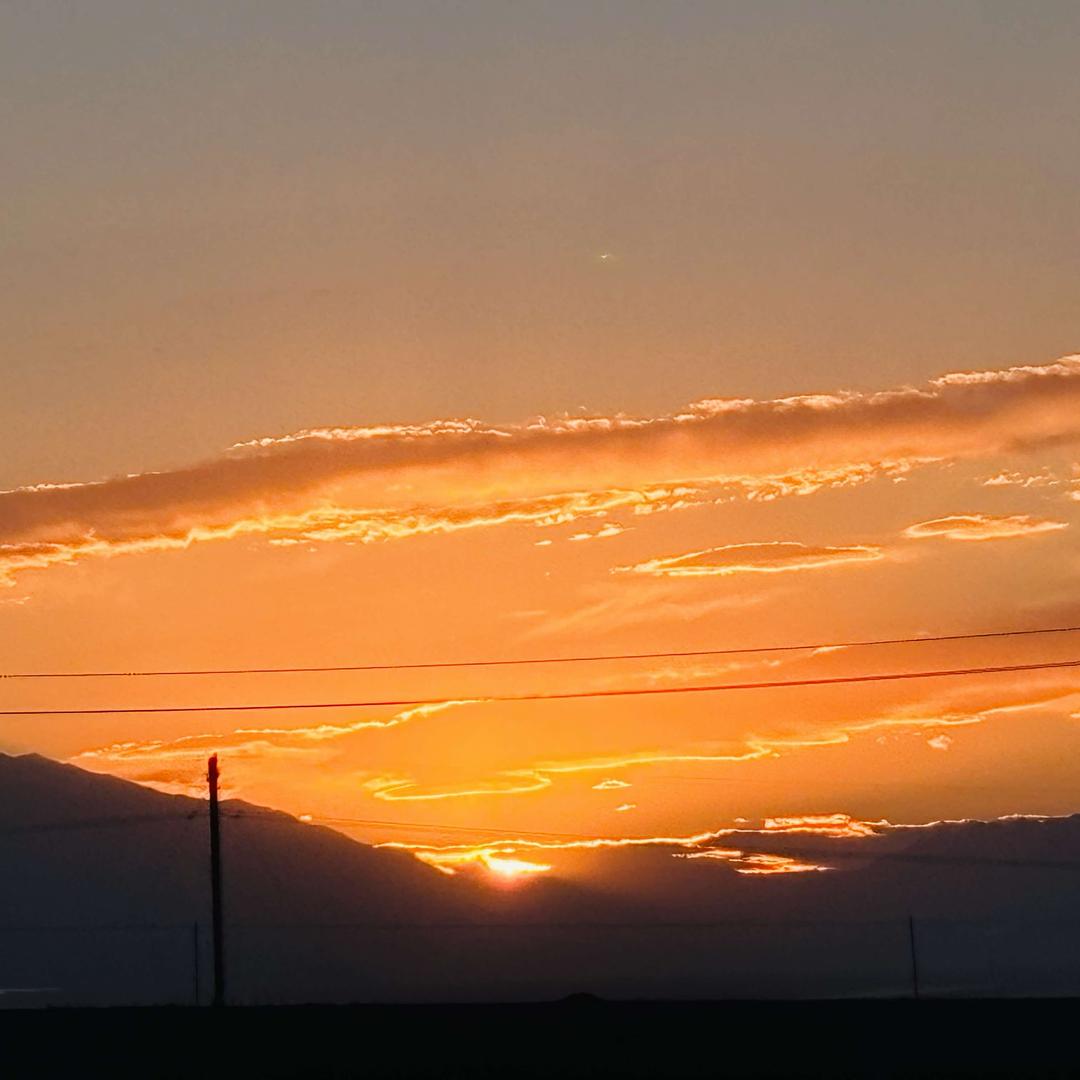 鲜醺精酿啤酒店官方号