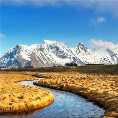 文昌市曲漾喻宠粉五号