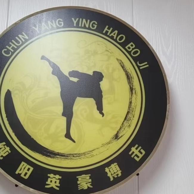 纯阳英豪武术培训中心