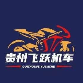 清镇飞跃机车QJMOTO—CFMOTO
