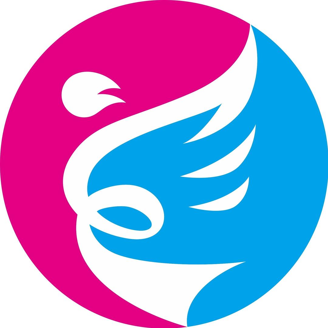 飞扬舞蹈艺术培训