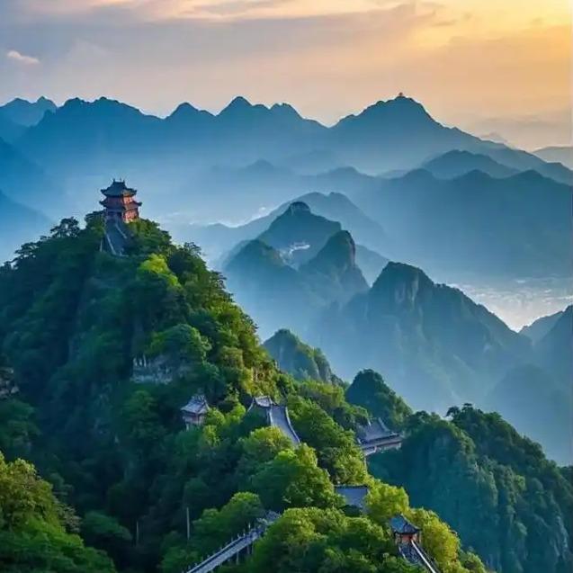 彭叶直播号