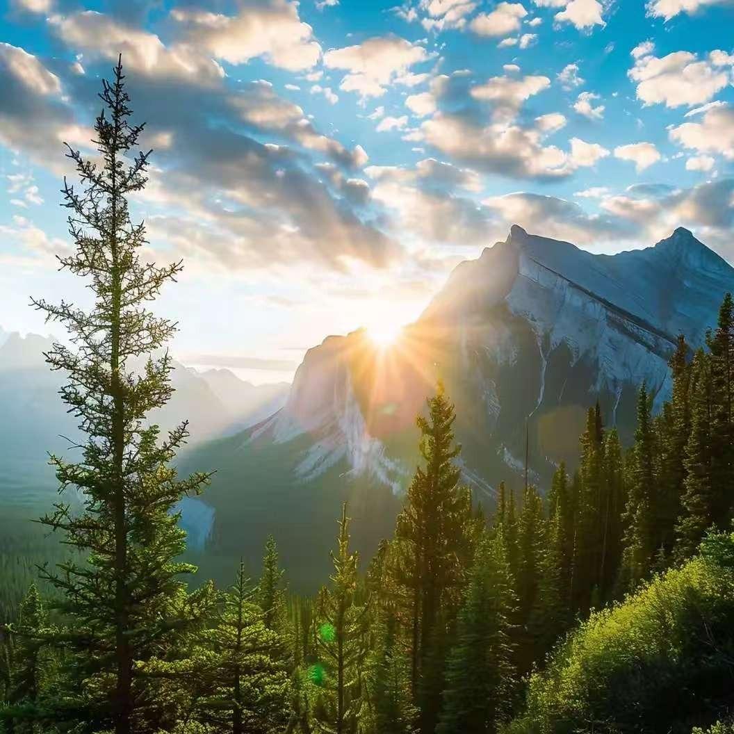 笃雄|勾陈直播号