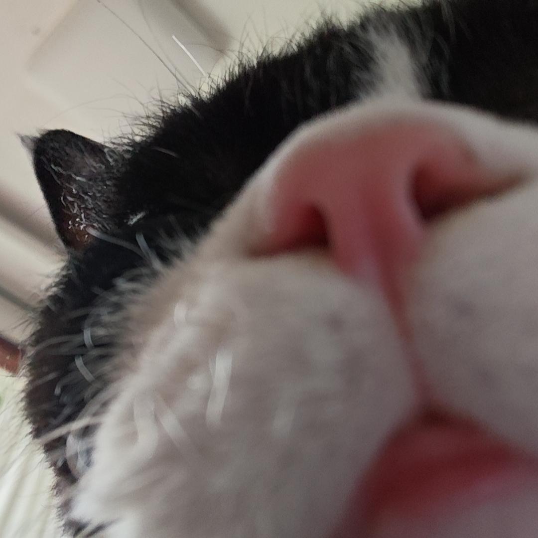 锦江大融城小米之家