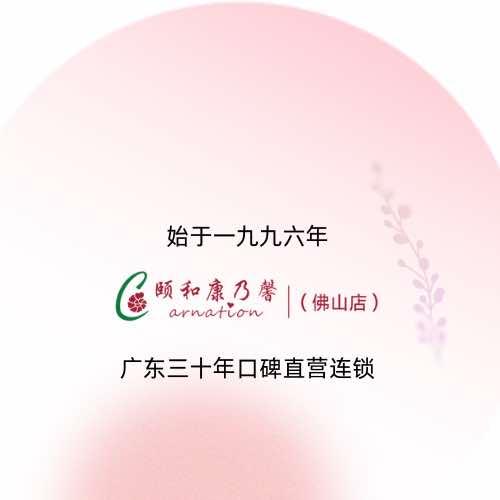 颐和康乃馨