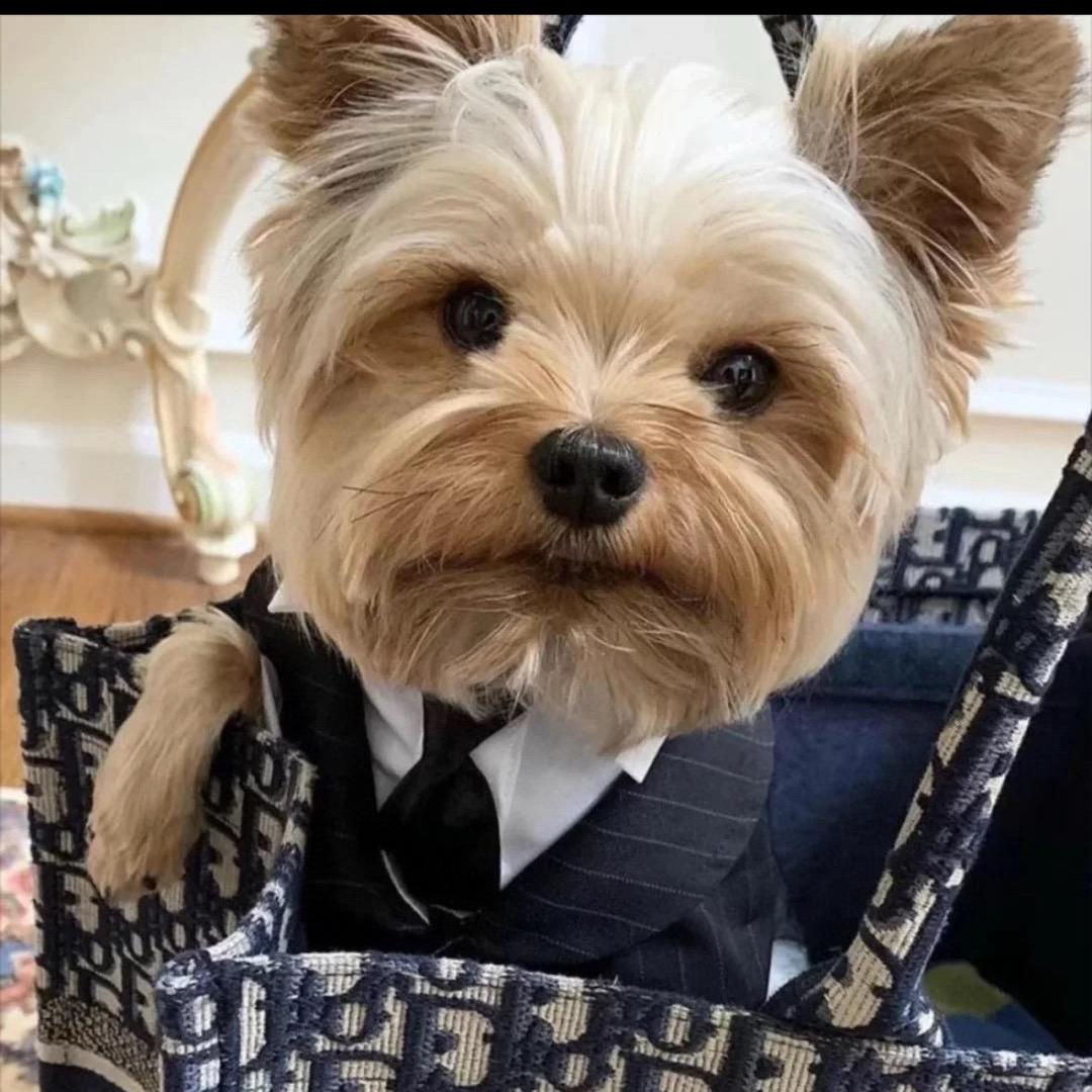 优客源叁直播号