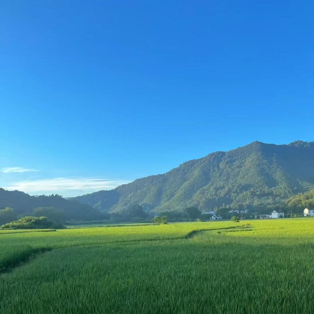 翠翠2富双华机械设备