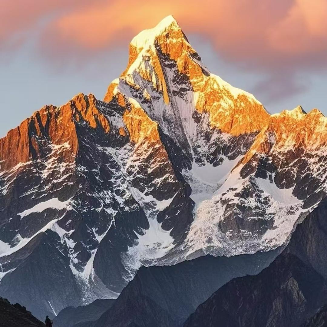 农资肥料直播号