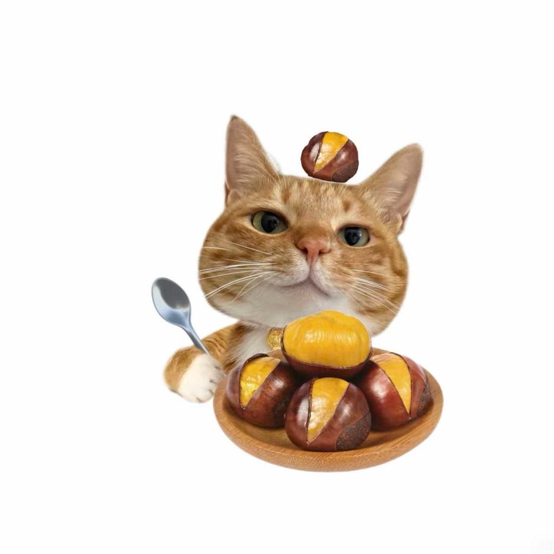 至燃爱丹丹美容专用号