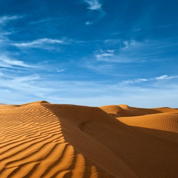 海南华鑫典商贸权