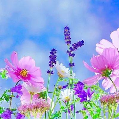 广州永迎次日常号