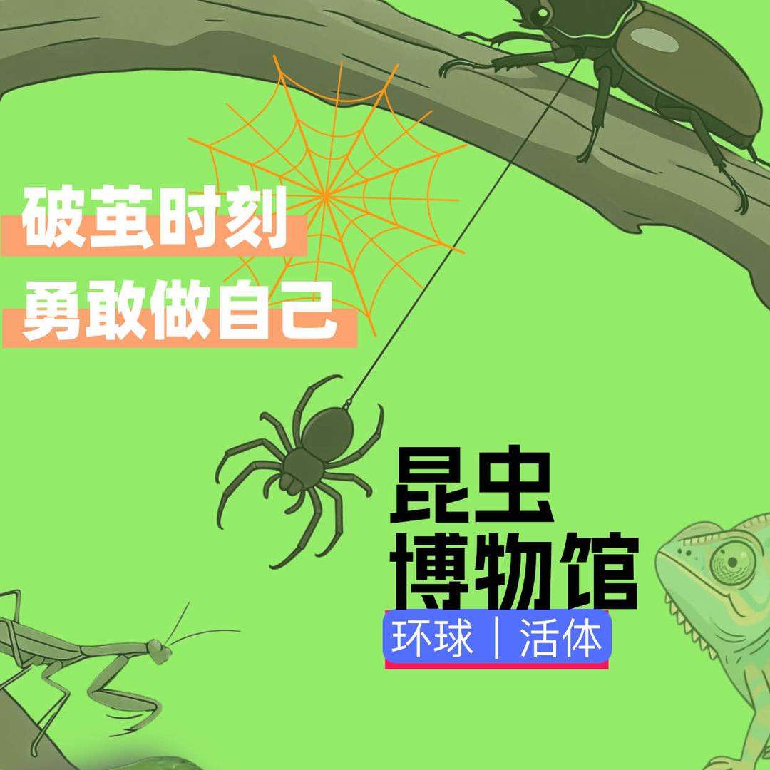 义乌破茧时刻活体昆虫馆