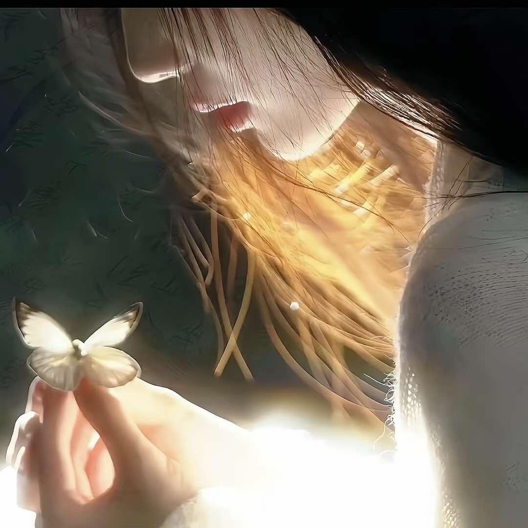 张小姐家的甜甜圈