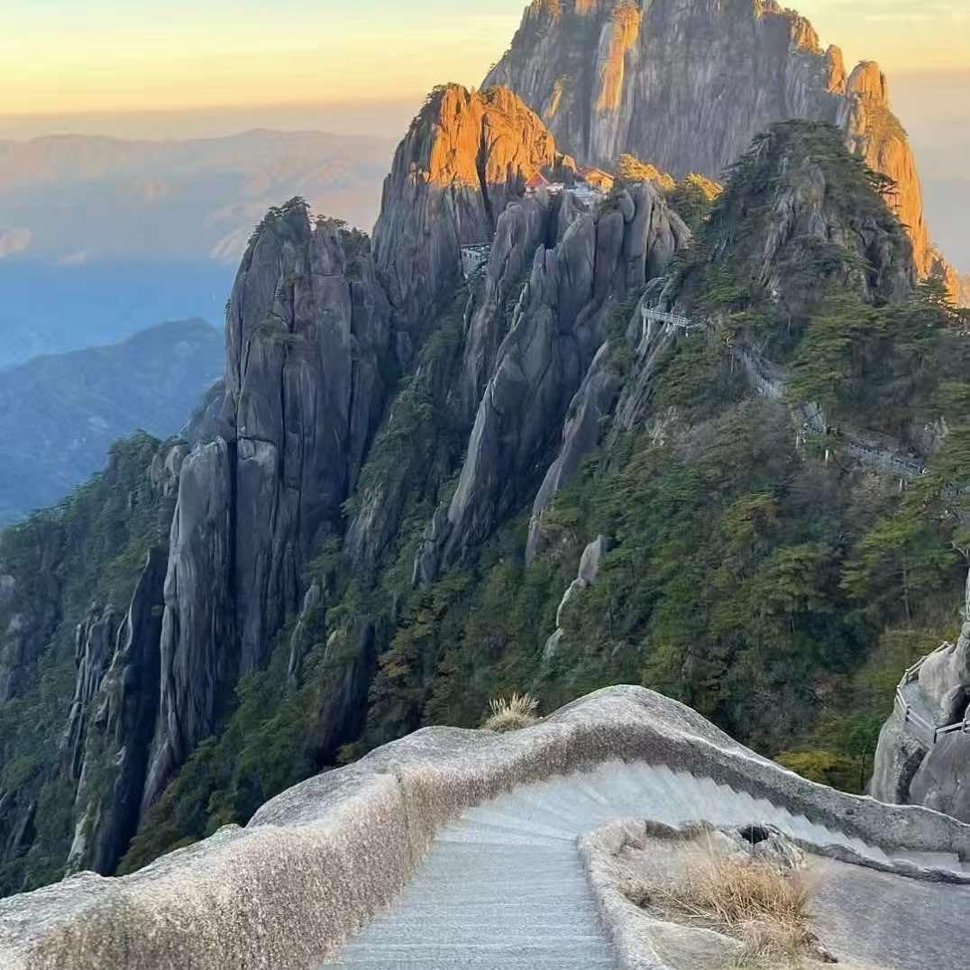 琪华公司2直播号的头像
