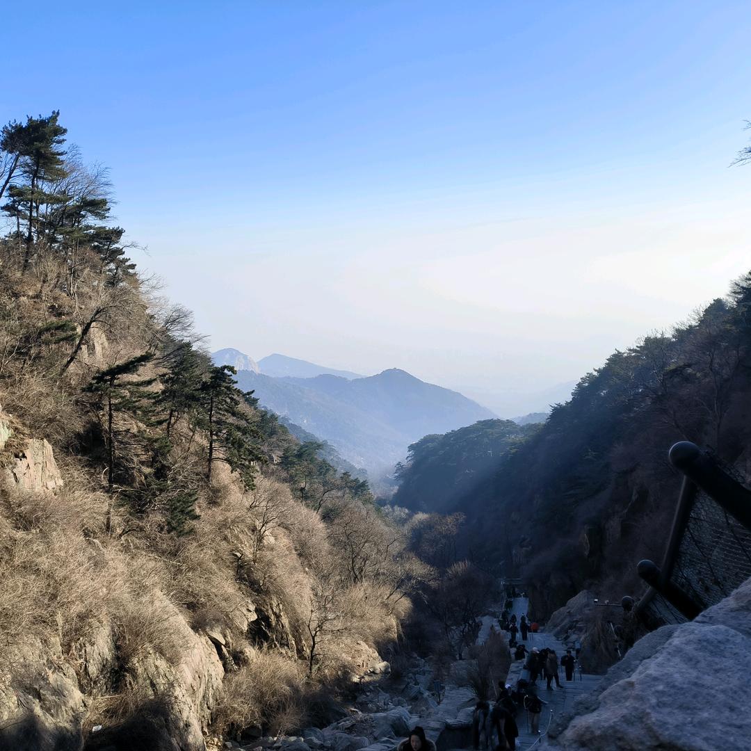 深圳市锦熙工程管理有限公司098直播号