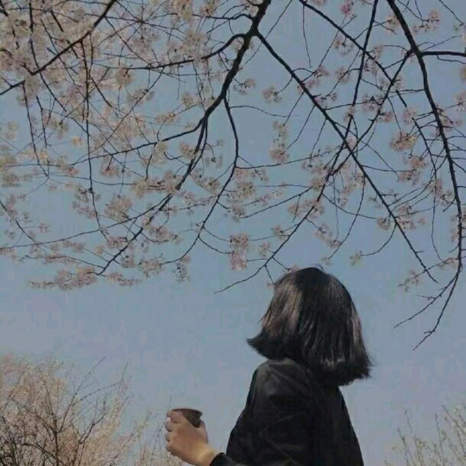 鲁山集美女装