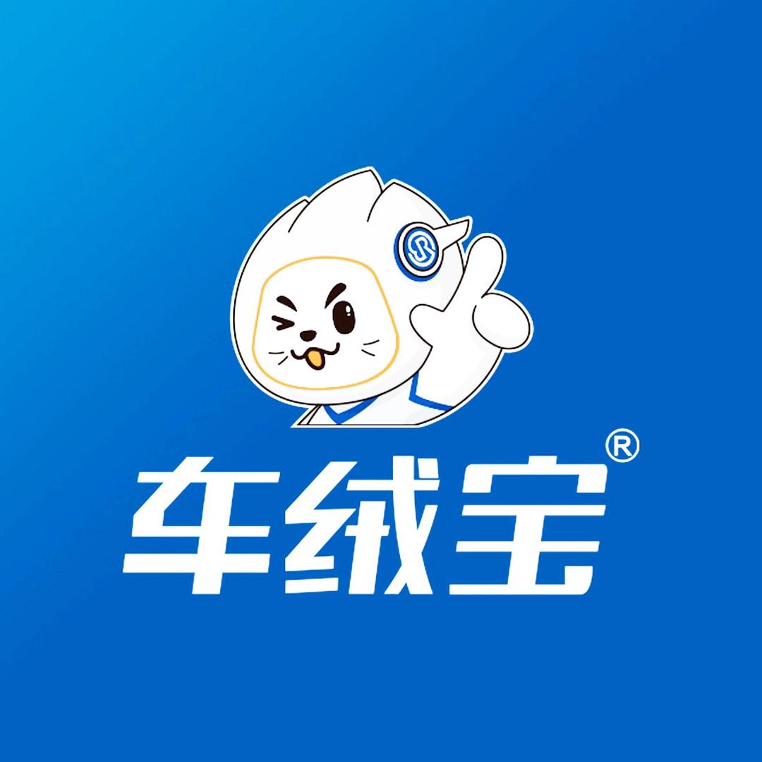 车绒宝【韩城腾飞美车】汽车膜垫连锁店