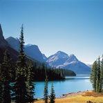 云南舍凡商贸11直播号