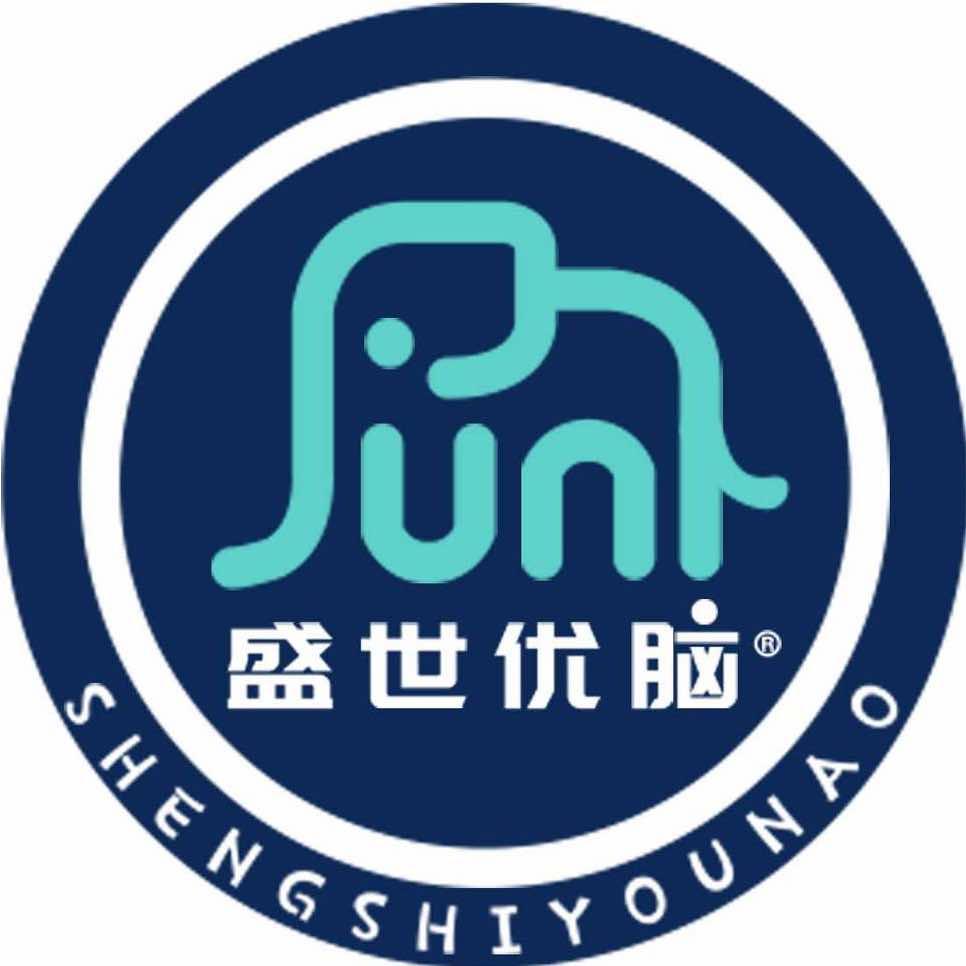 盛世优脑记忆力·专注力·感统训练