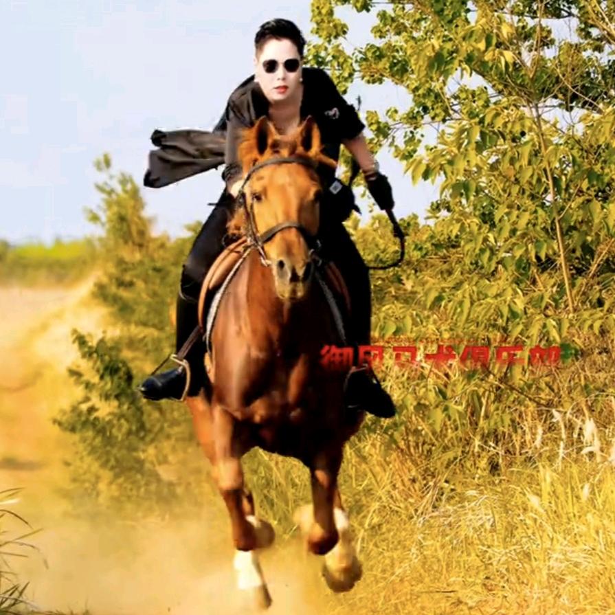 合肥倾城御风户外野骑官方号