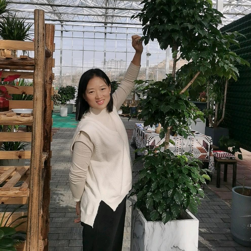 韩城花卉娟子