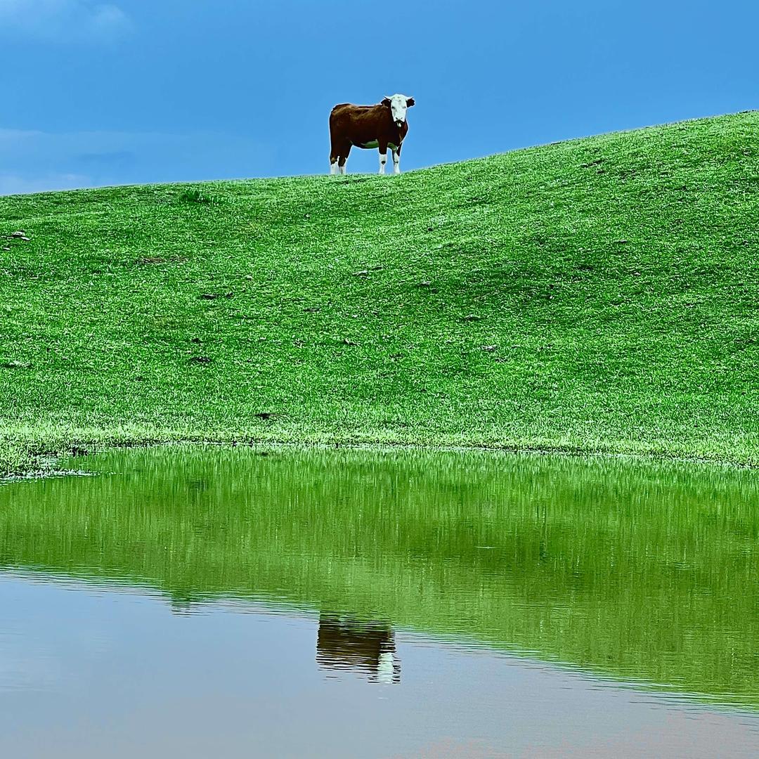悦享美发官方号