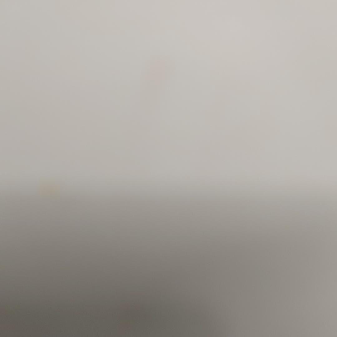 逸晖居小肚肚直播号