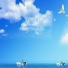 便利仔(信华路店)a宠粉号