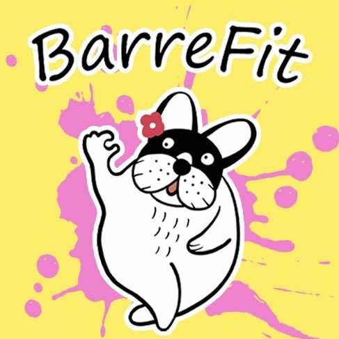 Barre fit