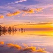 南阳创红百货有限责任公司8直播号