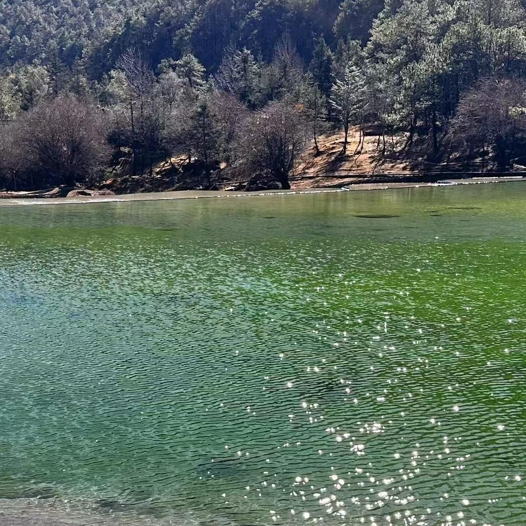 一生平安·丧擂遇