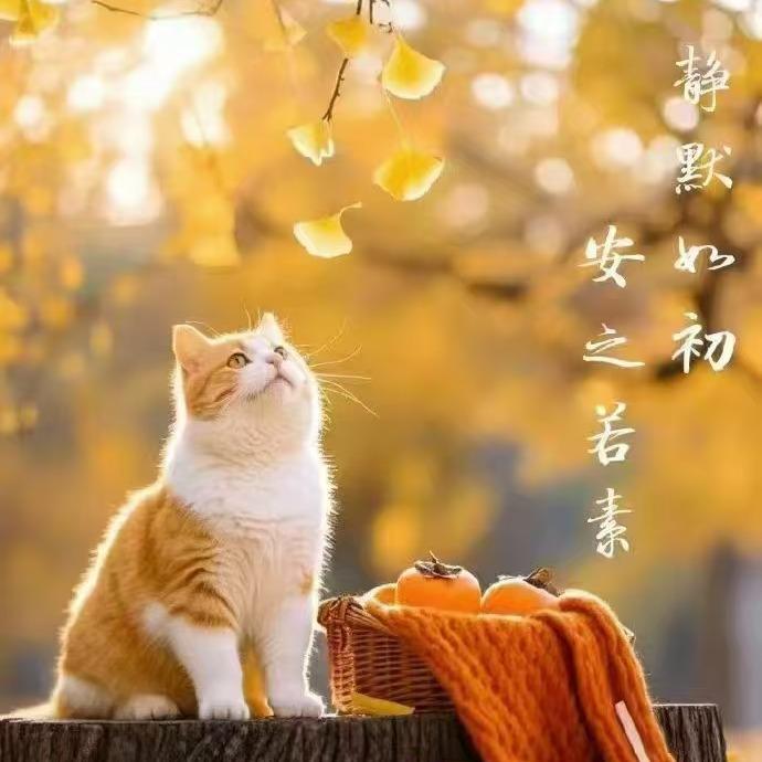 芊浔的大跟班儿