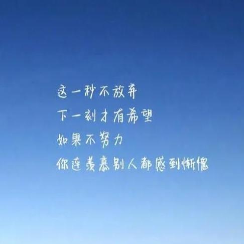 唐柏世纪7