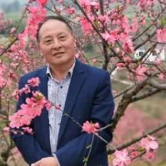 神龙出山